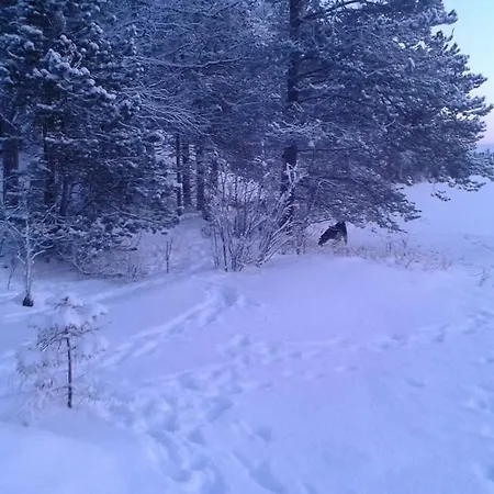 Holiday House Lapland Guest house *