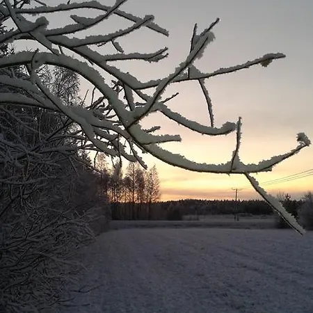 Holiday House Lapland Guest house Rovaniemi